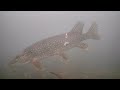 Early Ice Fishing on Mille Lacs Lake (Ice Check)