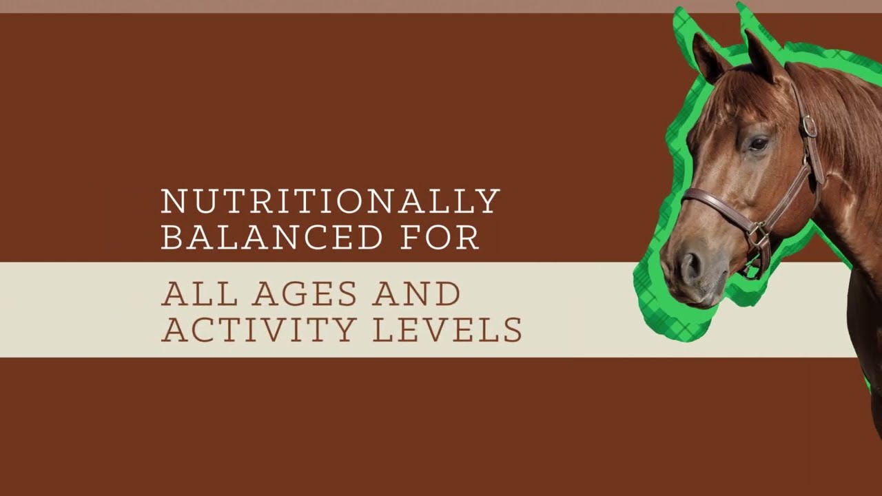 SafeChoice® All Life Stages - Horse Feeds at Southern States Cooperative