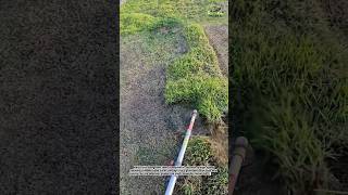 Insane Grass Trimmer Transformation! Watch This Lawn Come Back to Life 🌱