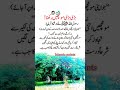 ﷺ Nabi Pak Ka Farman | Dil Ko Sukoon Dene Wali Hadees#allah #islamicreminder