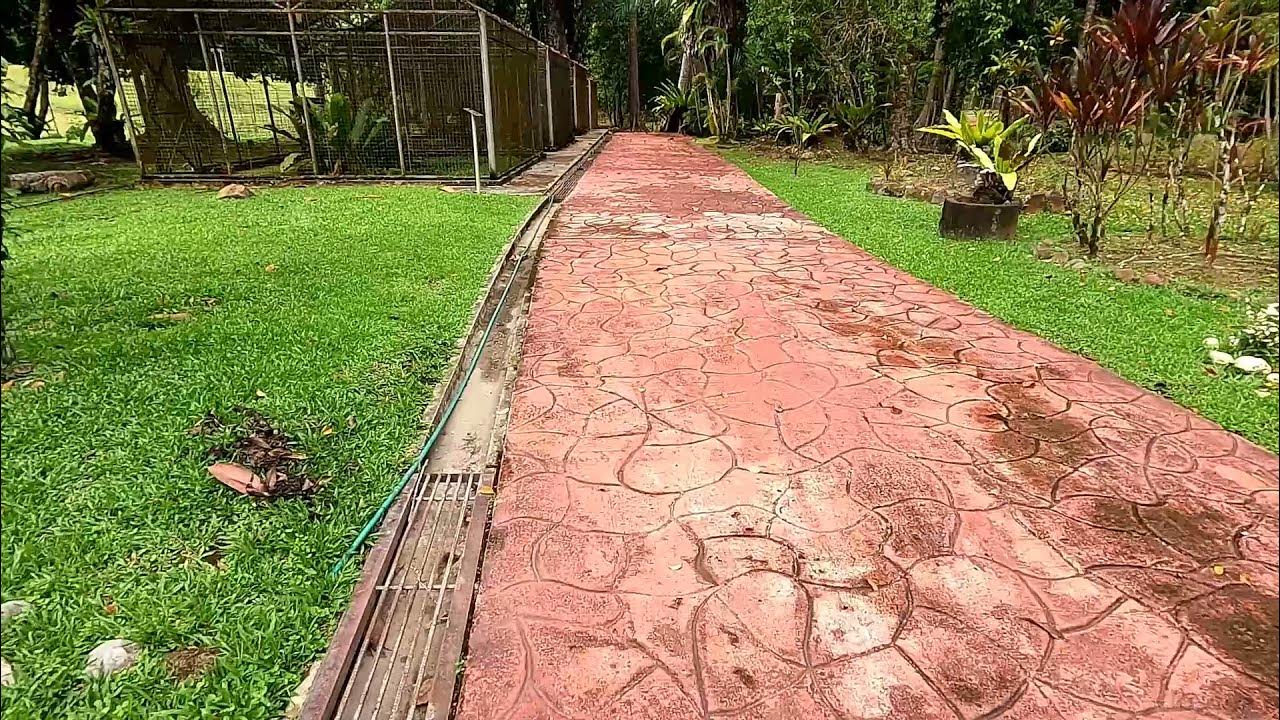 VLOG19 PART 1 BATANG DURI ZOO MINI ZOO IN TEMBURONG BRUNEI DARUSSALAM