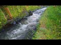 RELAXATION ! THE SOUND OF WATER FLOWING HOURLY IN THE RIVER