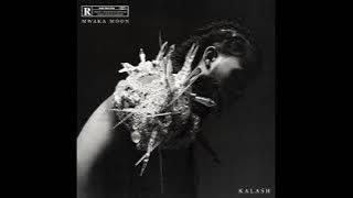 Kalash - I Wanna Be Loved  _  Mwaka Moon
