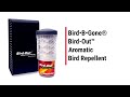 Birdout aromatic bird repellent  15 second commercial  bird b gone