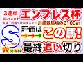 【エンプレス杯2026】水曜日の川崎競馬場、穴党専科しーいちの3連単狙いならS評価は何着づけが面白い幸配当になるかを検証してみよう!