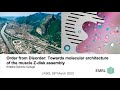 Order from disorder in sarcomeric Z-disks– with Kristina Djinovic Carugo 2023