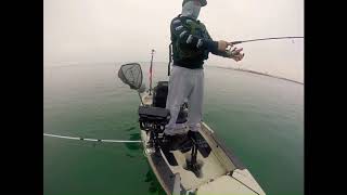 Corio Bay kayak fishing