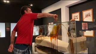 Eco-activists splash &#39;blood and oil&#39; on Barcelona mummy exhibit