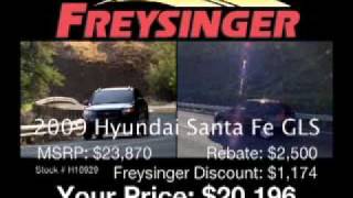 Freysinger Hyundai November 2009 Internet Specials