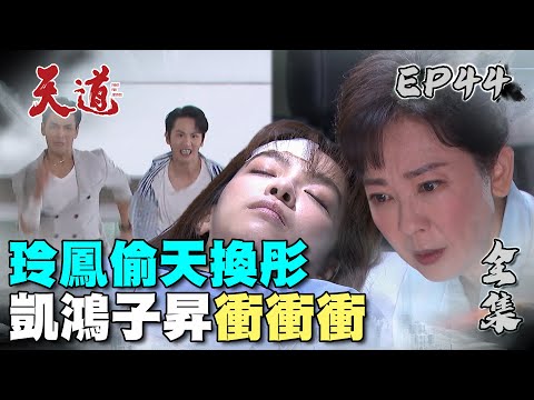 天道 EP44 完整版｜偷天換彤別想跑｜FIGHT FOR JUSTICE｜【PP塑崩褲氣動版】