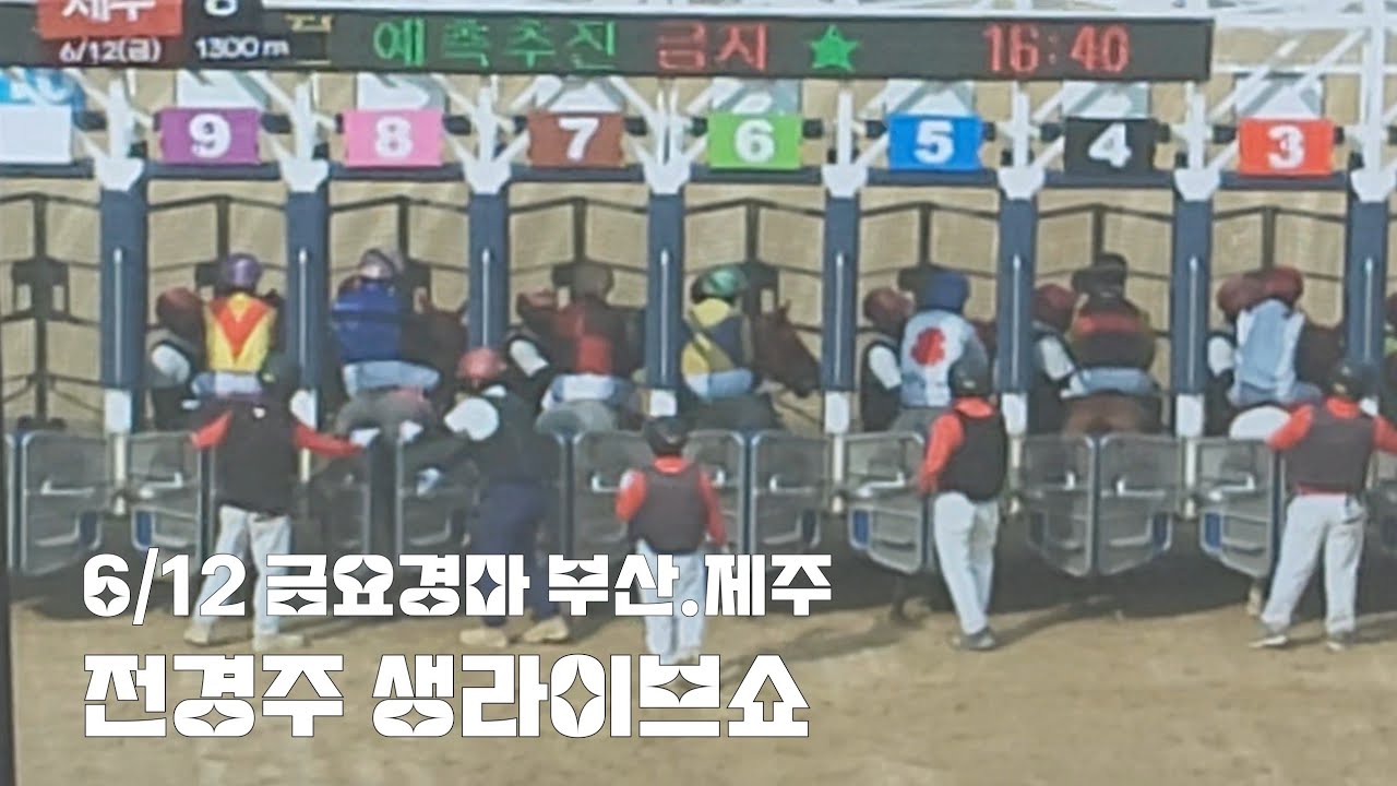 게이트 꽉꽉 채워서 뛰어야 하는데 말들이 너무없다!(금요경마 생라이브쇼)