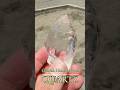 【ガネーシュヒマール水晶】新しく入荷した美しいヒマラヤ水晶たちのご紹介です　#crystals #天然石