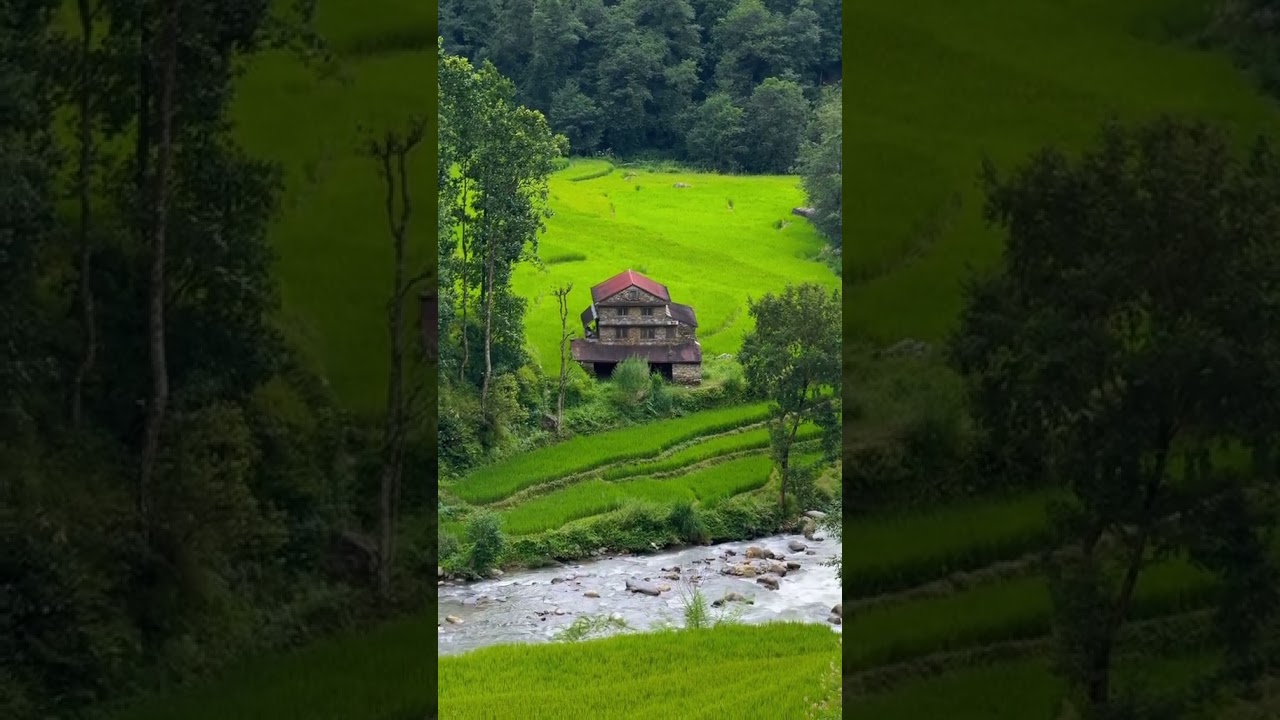 A rustic stone house by the river, surrounded by lush green fields and forest.
