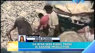 DA-BFAR sees rising trend in sardine production