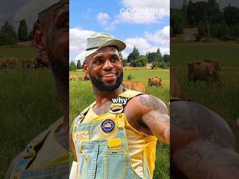 Lebron James Loves This Neutral Dairy Farm | Goodable Today #Shorts