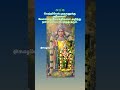 #devotionalsongs #love #murugangod #முருகாசரணம் முருகா 🦚🌿🦚