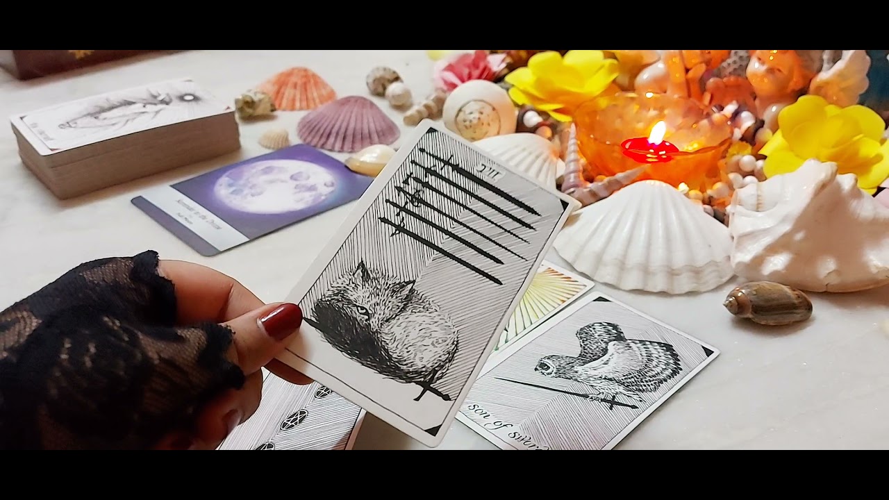 What will your future spouse do to make up  with you after a fight 😘|Tarot🔮 pick a card reading