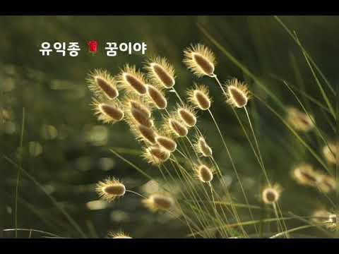 유익종⭐꿈이야