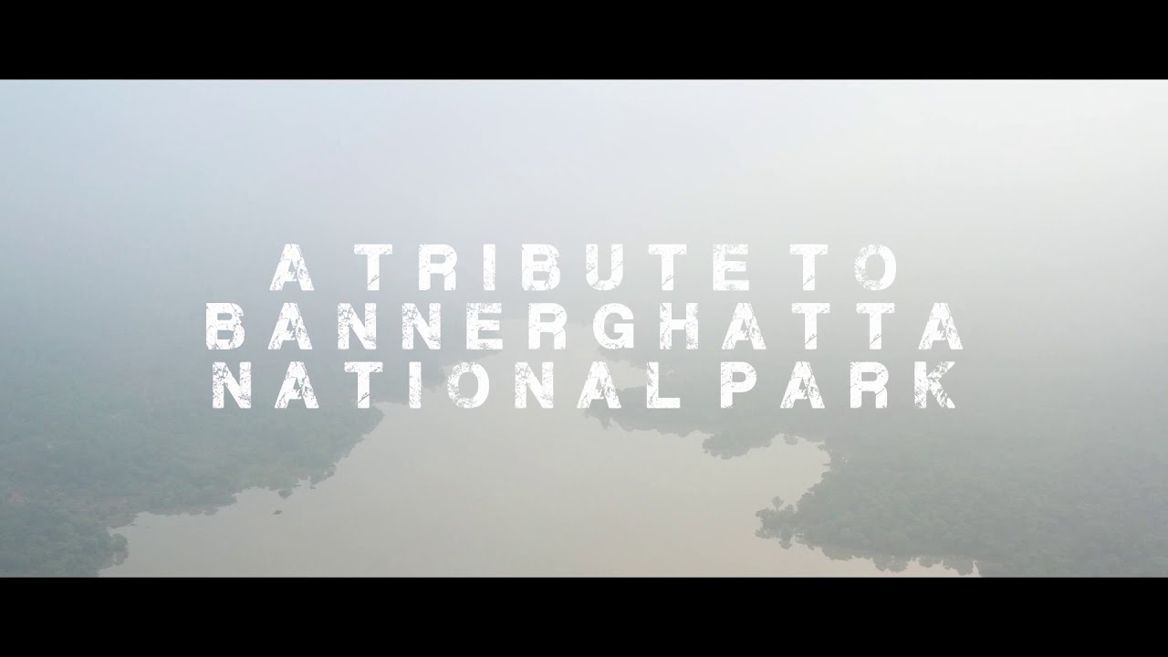 Bannerghatta National Park | Tribute Music Video | Karnataka Forest Department | Bengaluru