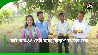 #DeeptoKrishi_C | বারি আম-১৪ তৈরি হচ্ছে বিদেশে রপ্তানির জন্য || Deepto Krishi | Deepto TV