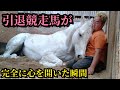 10年間一緒に過ごした引退競走馬の白馬と添い寝したらこうなりました。【ツルマルボーイ様のシモベ】