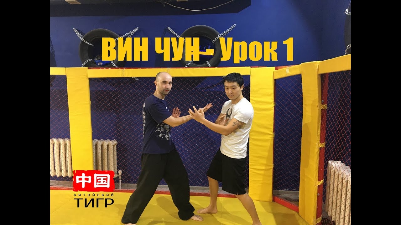 Вин инфо осаго