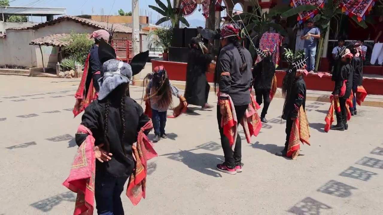 Parte 2 Danza de los diablos de Cozoyoapan Guerrero - 5 de mayo
