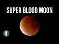 Super Blood Moon | Lunar Eclipse | Time Lapse in 4K |