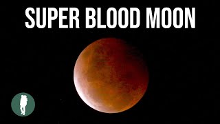 Super Blood Moon | Lunar Eclipse | Time Lapse in 4K |