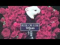 THE WILLARD/ ROSE OR LOSE