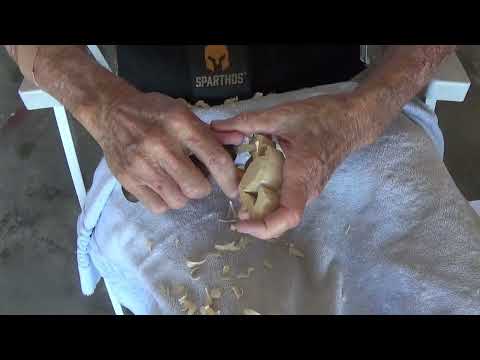 Whittling The Flamingo And Carving Shows