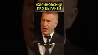 ПРО ЦЫГАНЕЙ ЖИРИНОВСКИЙ #жириновский #мотивация #личность #база #бизнес #психология #совет