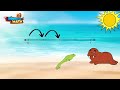 Understanding Fractions on Number Lines