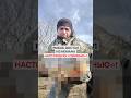 Рыбак достал из Немана трофей размером с настоящую свинью. Это случилось в районе Мостов