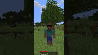 Minecraft: Herobrine Unexpected Aid To Steve 😳 - Montero (Lil Nas X) #Shorts #Minecraft #Viral