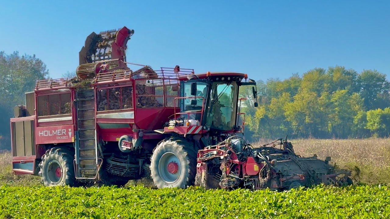 Nova Vadilica, Loša Repa i Slab Traktor?