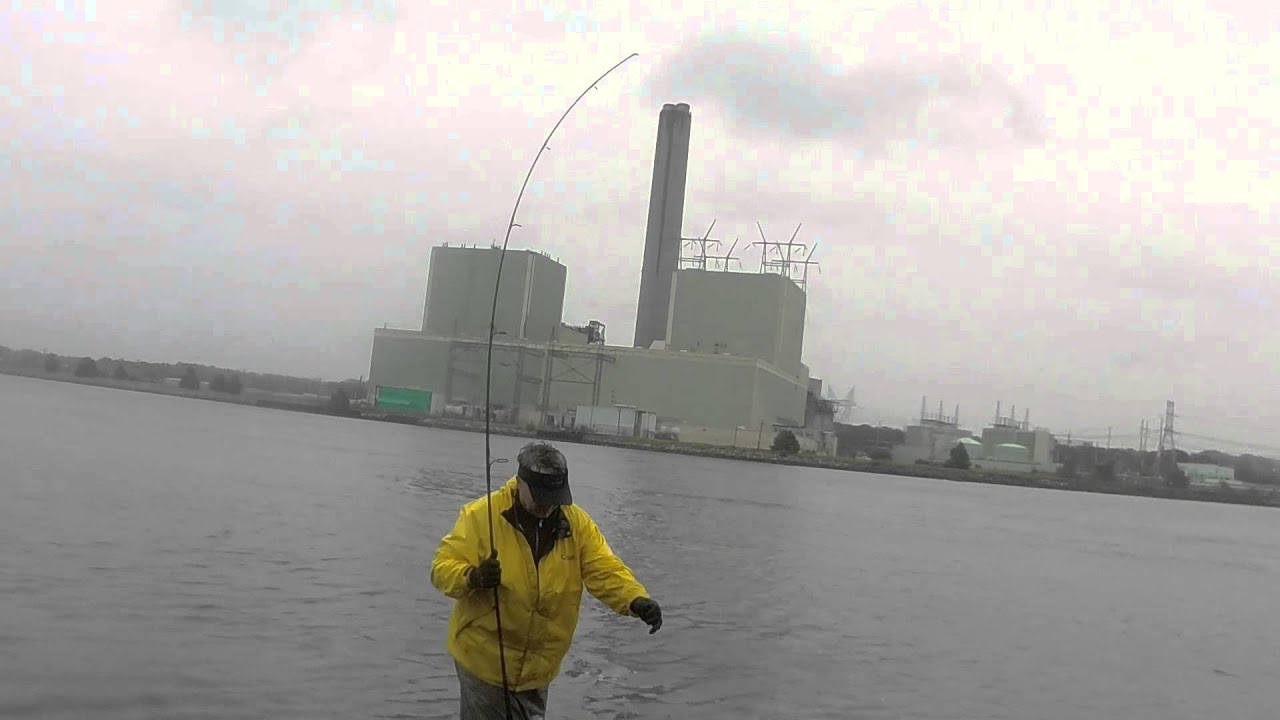 Cape Cod Canal Striped Bass Fishing Hot Spot YouTube