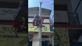 How the Motorized Tree Climber Works #worker #process #climbing #guide #technology