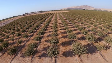 Emuflight 0.1.0 Test Flight 1 | CLRacing F4S | MiasmaFPV