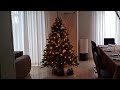 Из Германии в Россию/Крым. У нас всё хорошо 🎄🎅