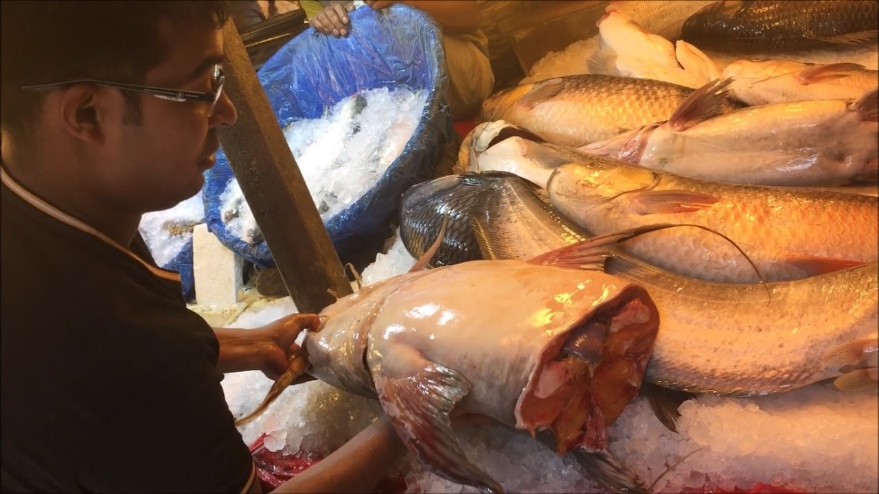 Wonderful Market Huge Fish Available Very Big Fish Market Uttara