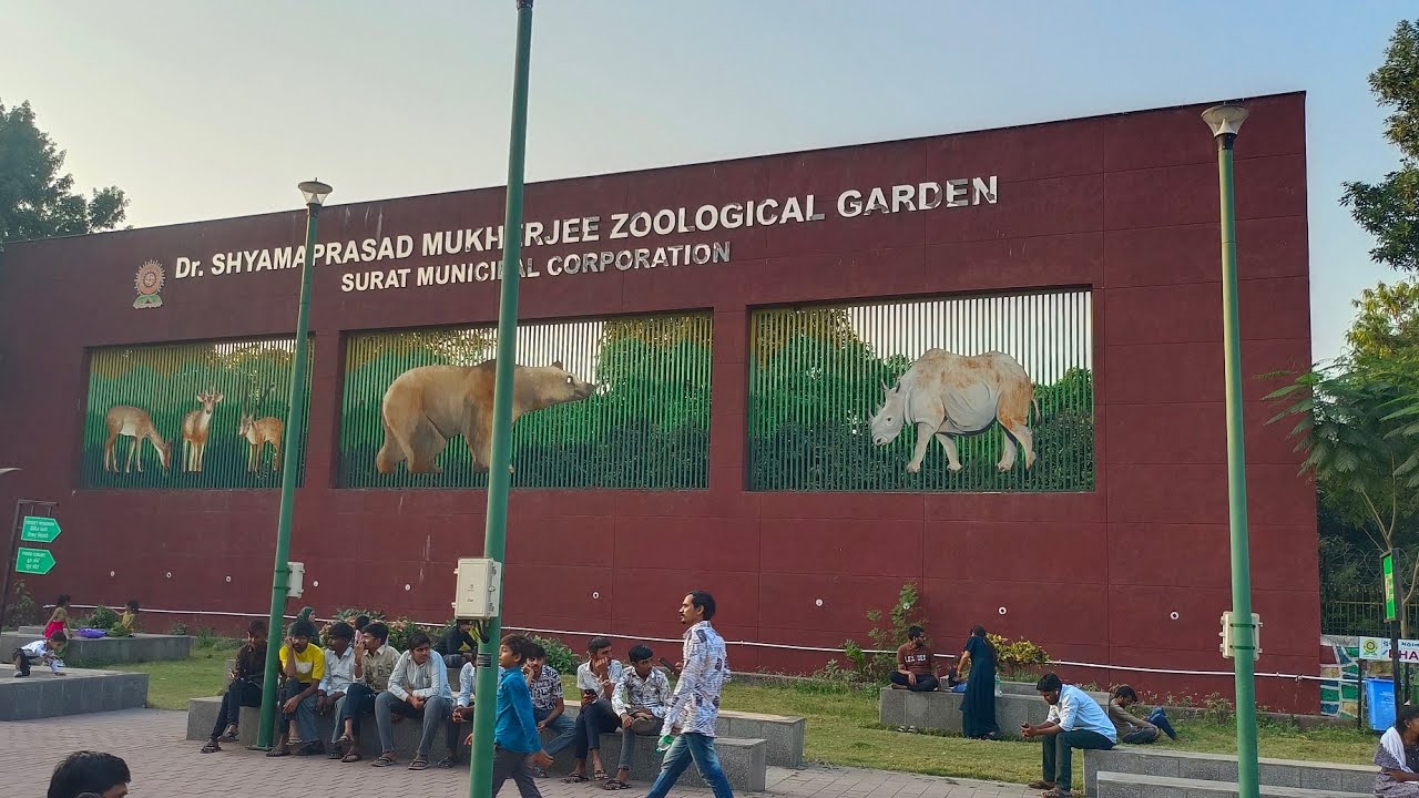 @Raftaardiary is live!