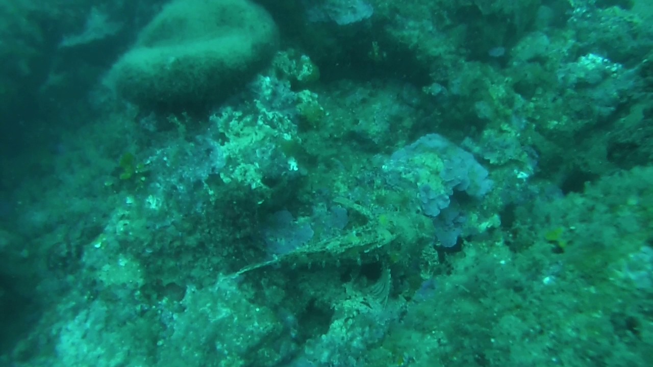 Mataro 30/10/2016 - Escorpora