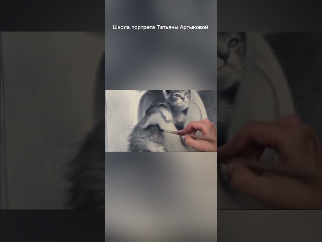 Хотите научиться рисовать портрет.  Записаться на мастер класс в Москве7(916)453-10-48 #портрет #арт