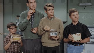 This Scene Wasn’t Edited, Look Again at the My Three Sons Blooper