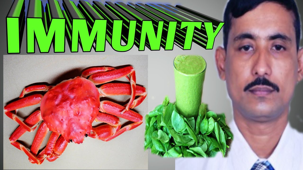 Increase immunity food || 10 foods to boost your immunity ...