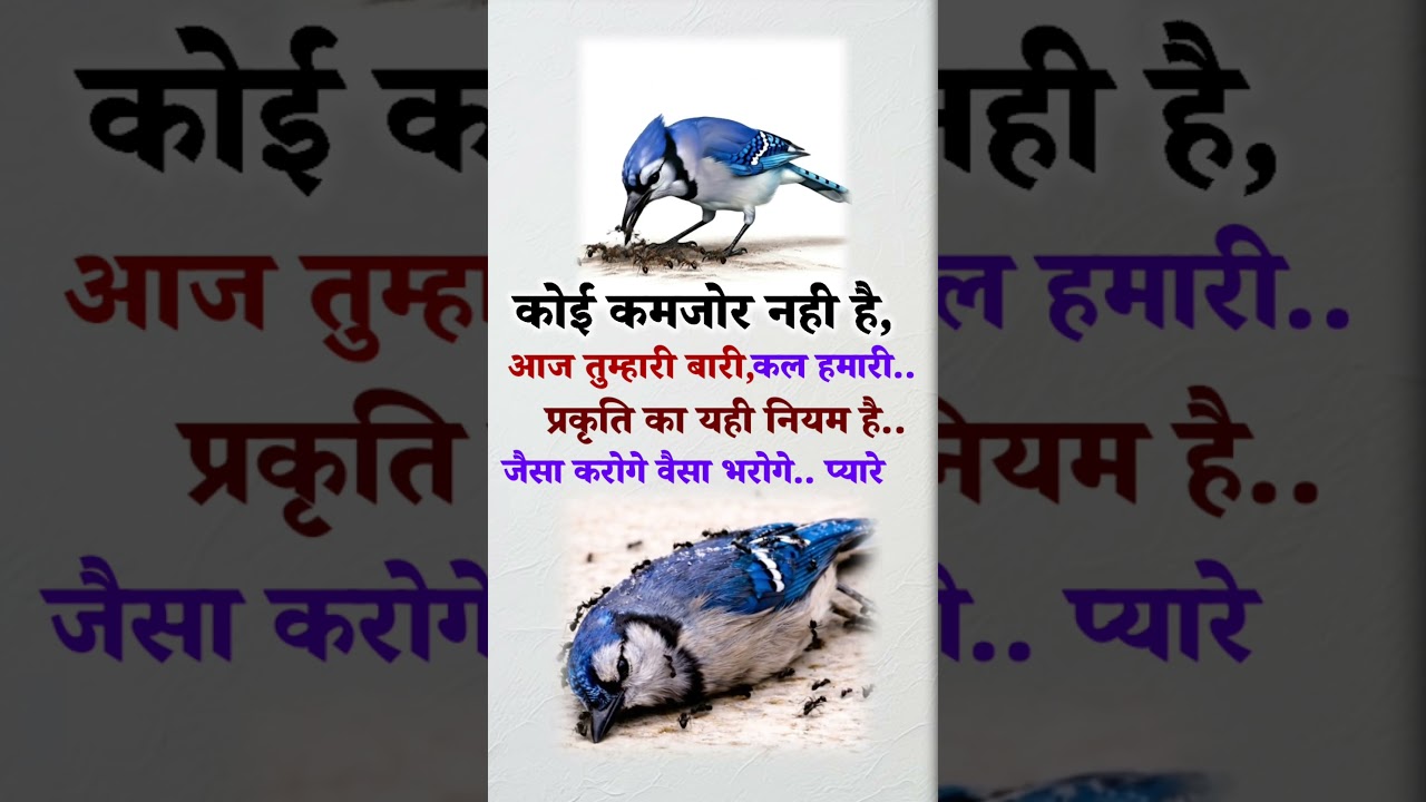 The law of karma is that whatever you do today, returns to you tomorrow.