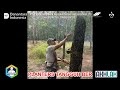 PLANTERS TANGGUH BER " AKHLAK ". Lirik & Cipt. Bambang Herto