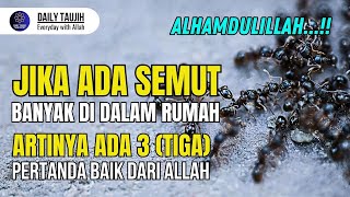 MASYA ALLAH !! 3 Good Signs If There Are Many Ants In Your House, Don't Kill Them