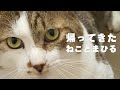 夏だ!ただいま!チャンネル再開だ!!!